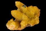 Sunshine Cactus Quartz Crystal Cluster - South Africa #132890-2